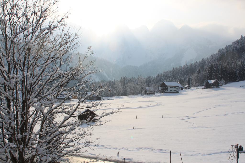 Muehlradl Apartments Gosau Bagian luar foto