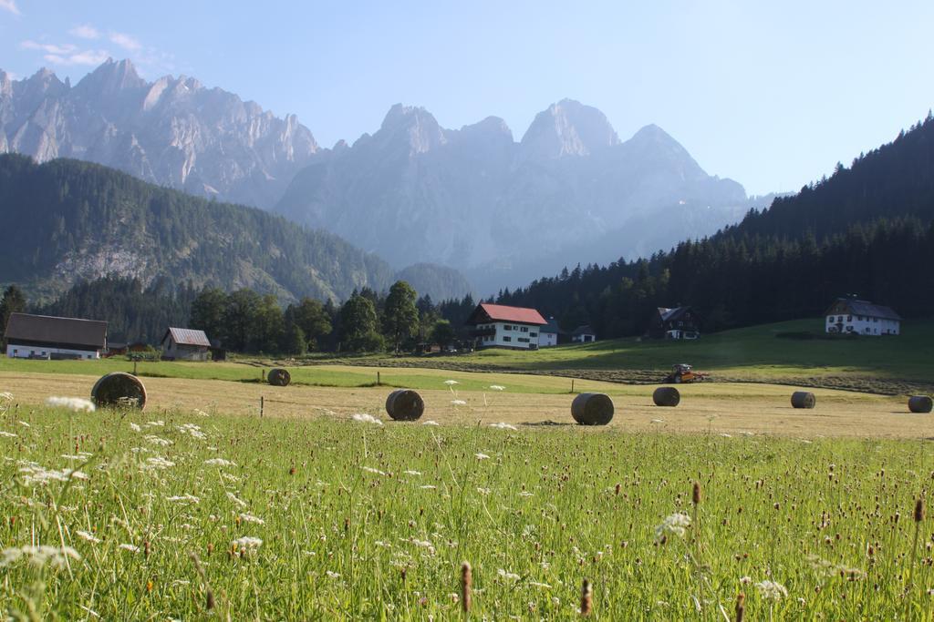Muehlradl Apartments Gosau Ruang foto