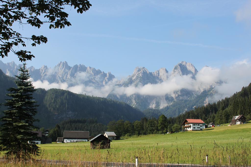 Muhlradl Apartments Gosau Bagian luar foto